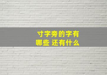 寸字旁的字有哪些 还有什么